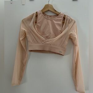Alo Yoga Pink Sheer Long Sleeve Crop Sports Bra